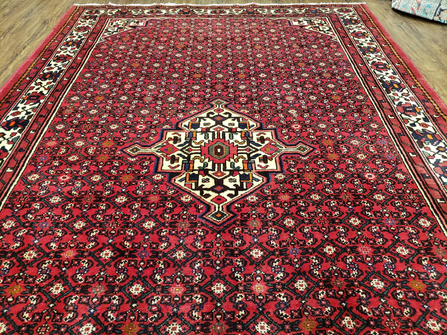 USED Vintage Persian Hamedan Rug 7x10, Angelas Mahi Pattern, Red, Wool, Hand-Knotted