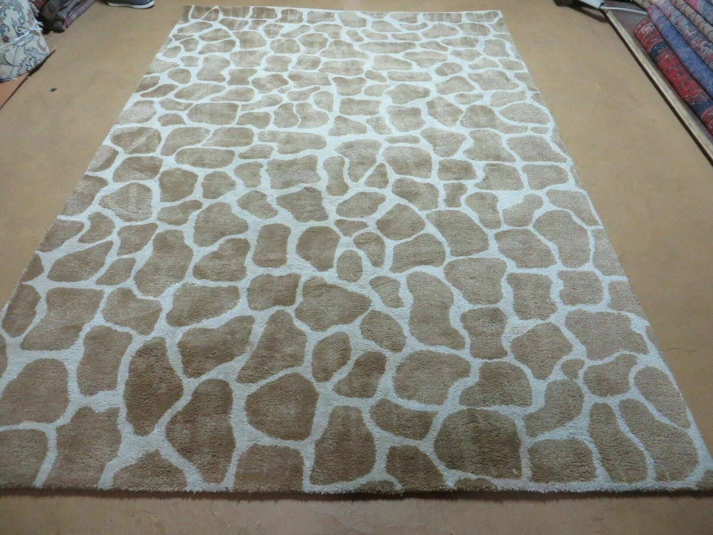USED 6x9 Safavieh Rug