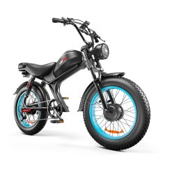 NEW C93- Dual-drive High-speed 48v E-Bike 1000W Electric Bicycle Bike