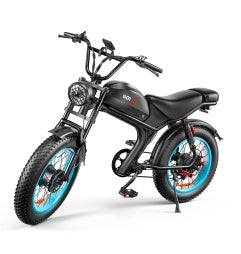 NEW C93- Dual-drive High-speed 48v E-Bike 1000W Electric Bicycle Bike
