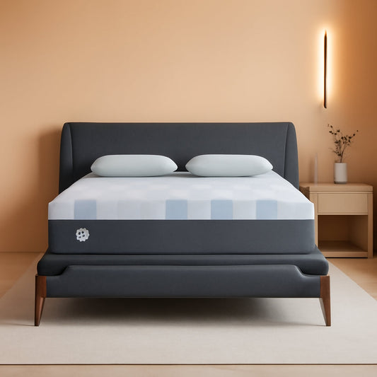 NEW Queen Dreamlife Gel Memory Foam Mattress Surface Guard