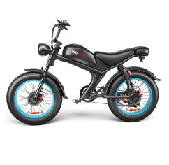 NEW C93- Dual-drive High-speed 48v E-Bike 1000W Electric Bicycle Bike