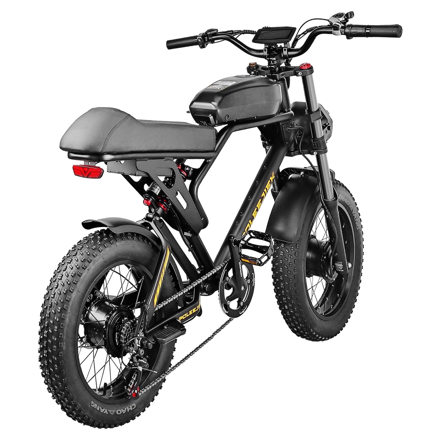 NEW Poleejiek E-Bike Urban Retro Model BLJ-F4 Electric Bicycle Bike