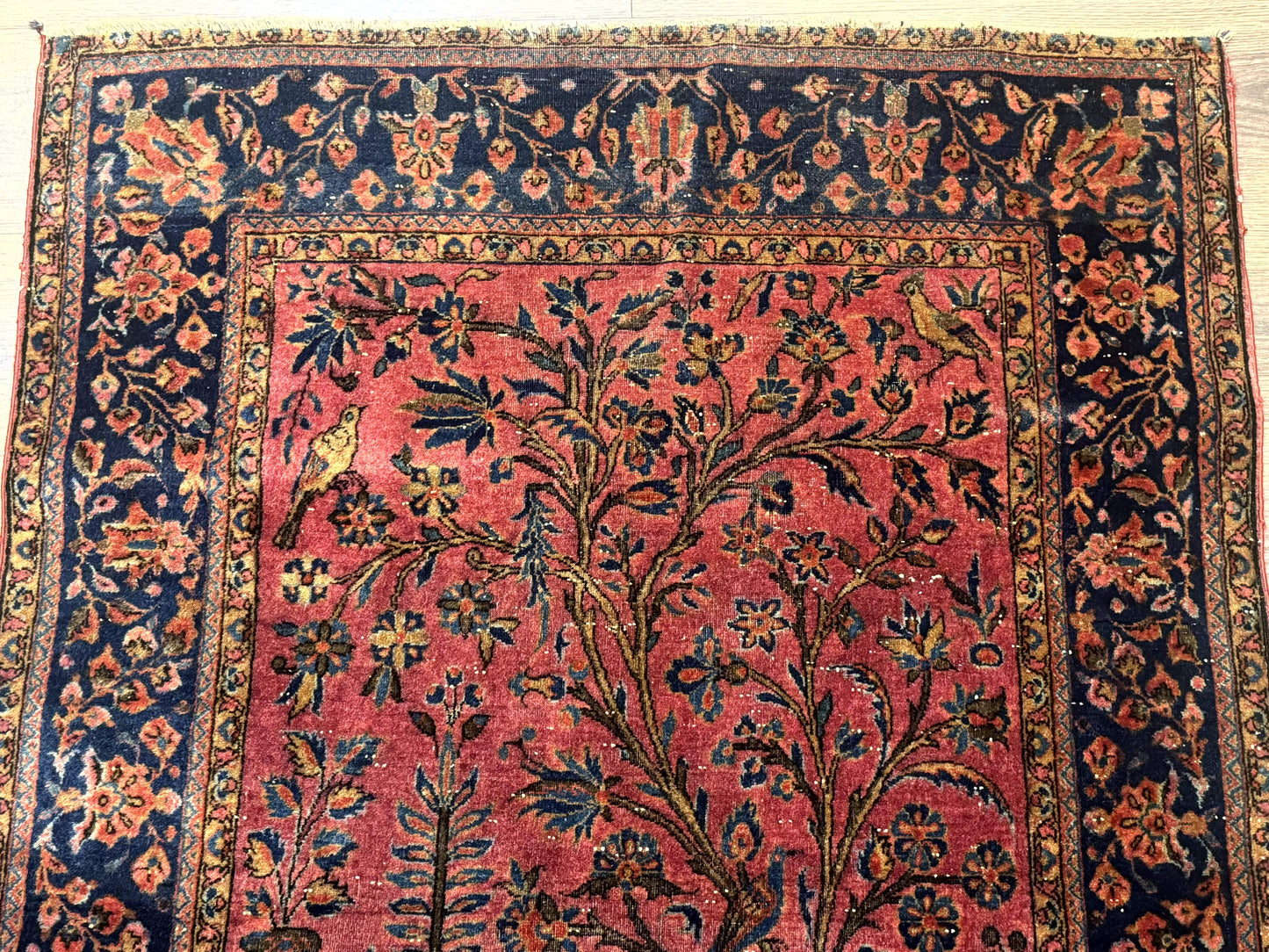 USED Antique Persian Tree of Life Rug 3x5, Manchester Wool, Bird Pictorials, Fine 240 KPSI, Red Navy Blue