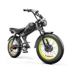 NEW C93- Dual-drive High-speed 48v E-Bike 1000W Electric Bicycle Bike