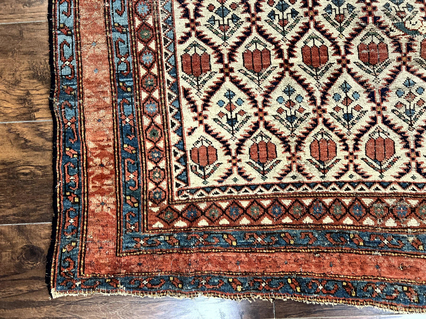 USED Antique Caucasian Rug 4x6, Hand Knotted Wool Carpet, Shirvan Rug