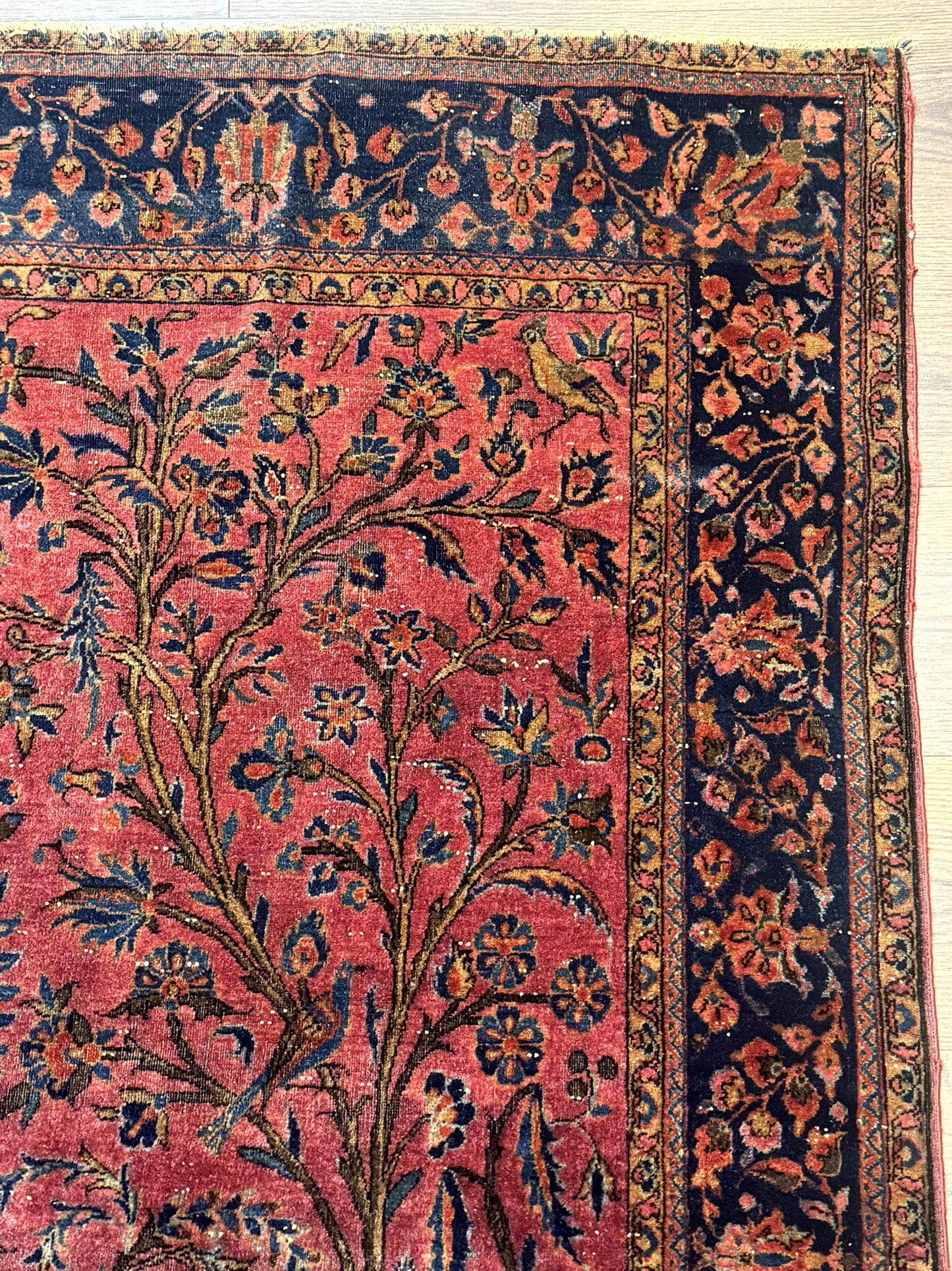 USED Antique Persian Tree of Life Rug 3x5, Manchester Wool, Bird Pictorials, Fine 240 KPSI, Red Navy Blue