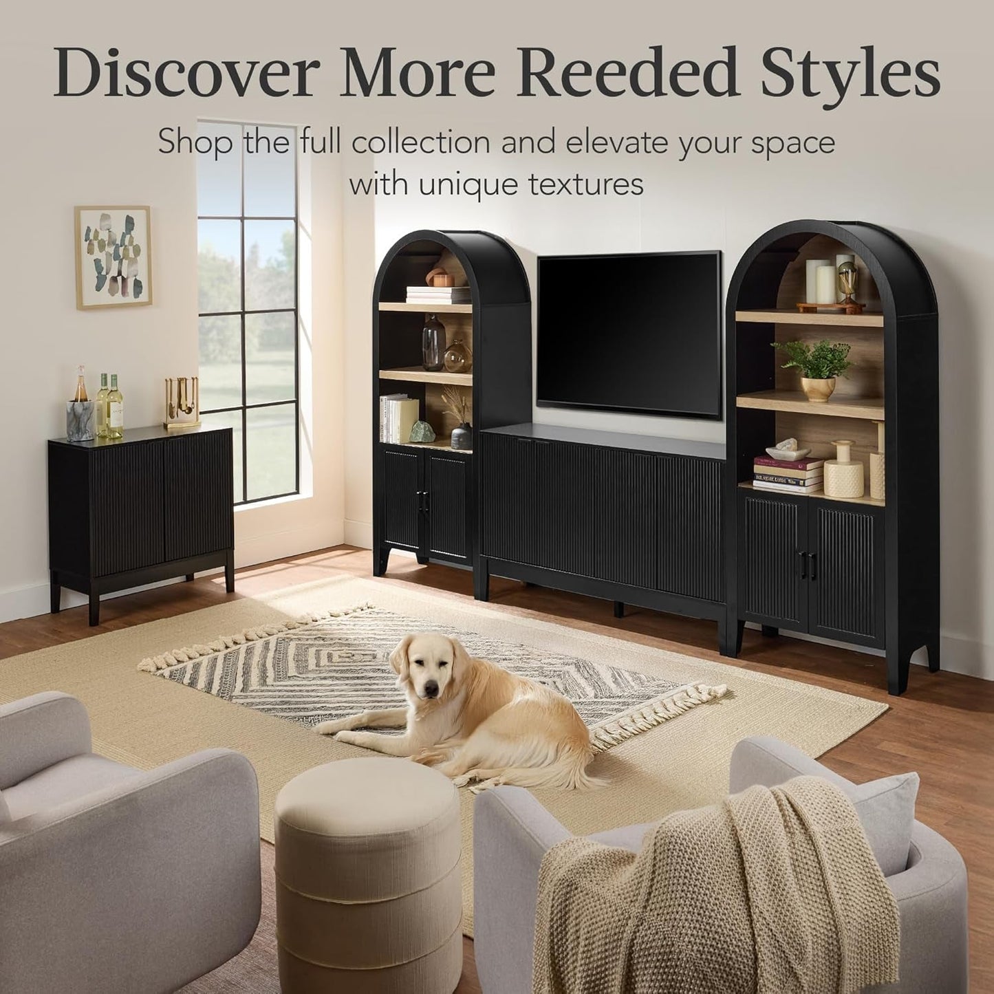 NEW Black Two Door Modern Entryway Storage Cabinet Reeded Doors