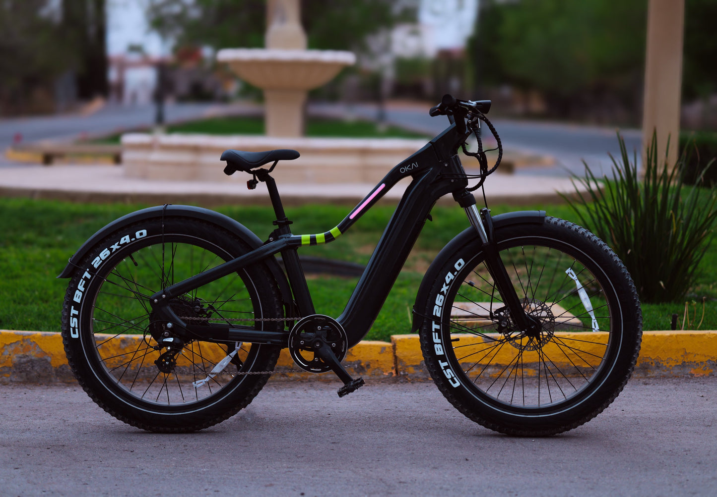NEW Electric Bike