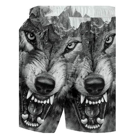 New Beach Pants Men's Sports Eagle Pattern Printed Shorts