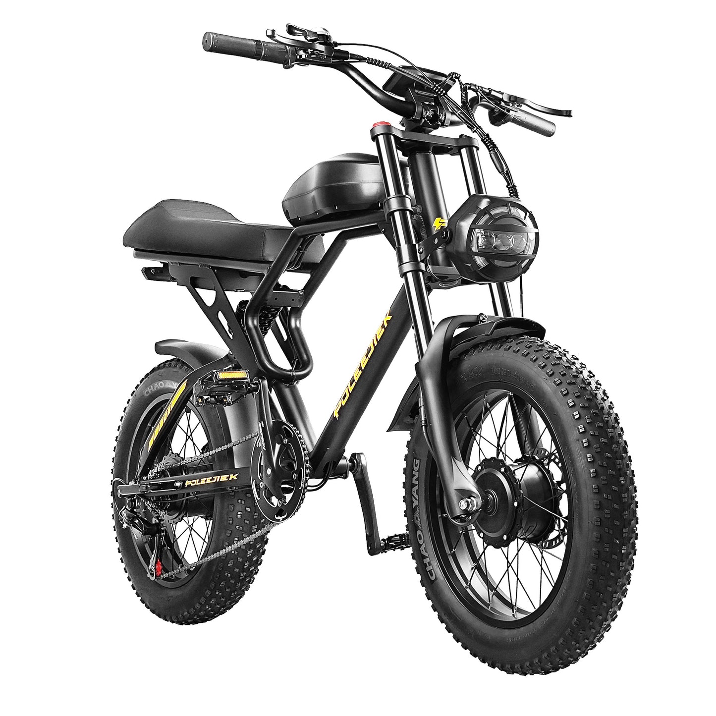 NEW Poleejiek E-Bike Urban Retro Model BLJ-F4 Electric Bicycle Bike
