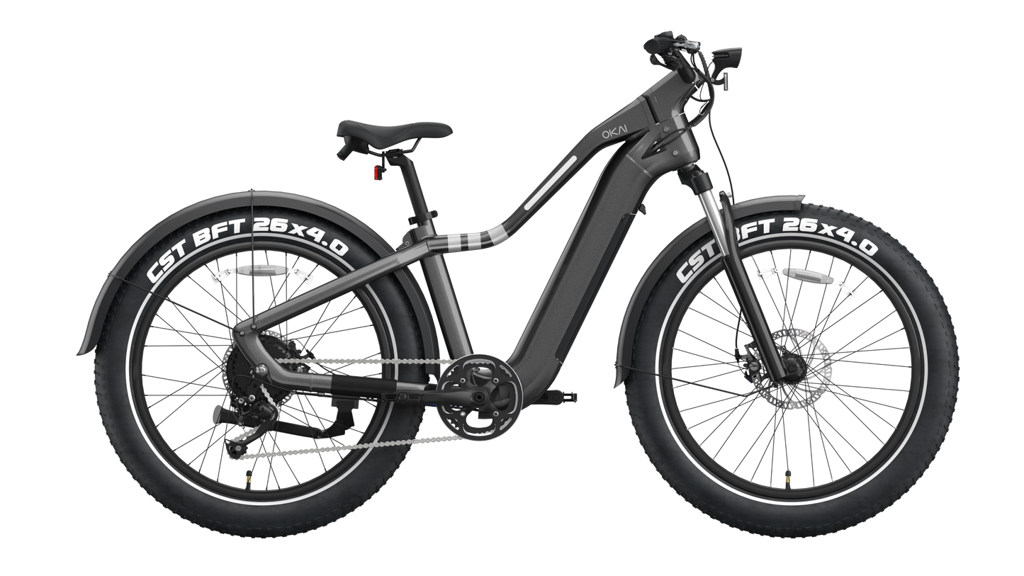 NEW Electric Bike
