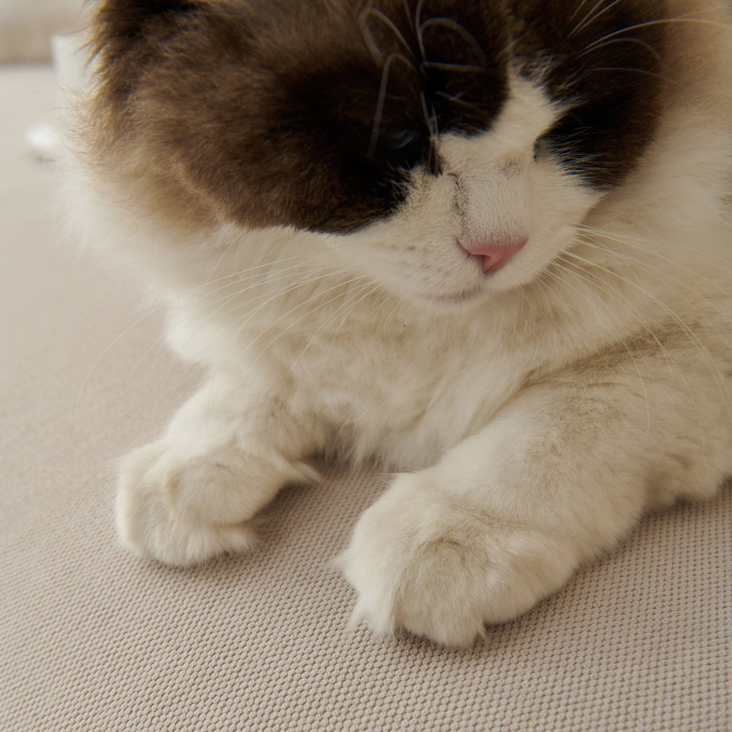 NEW Waterproof Scratch Proof Sofa Protector Throw Blanket, Couch Cover for Pets & Kids