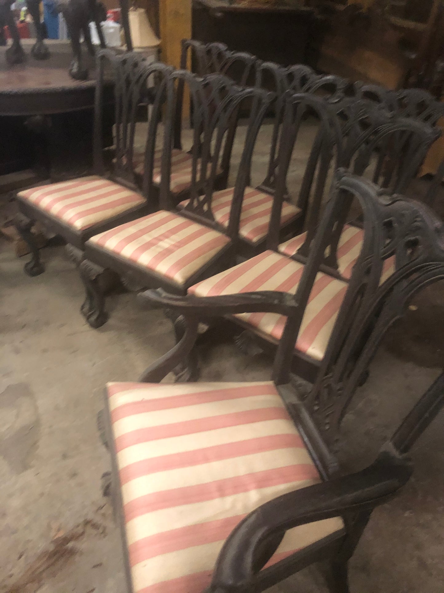 Very Early Cabinet Maker 14 pc Mahogany Chippendale Ball n Claw Foot Dinning Room Table Set