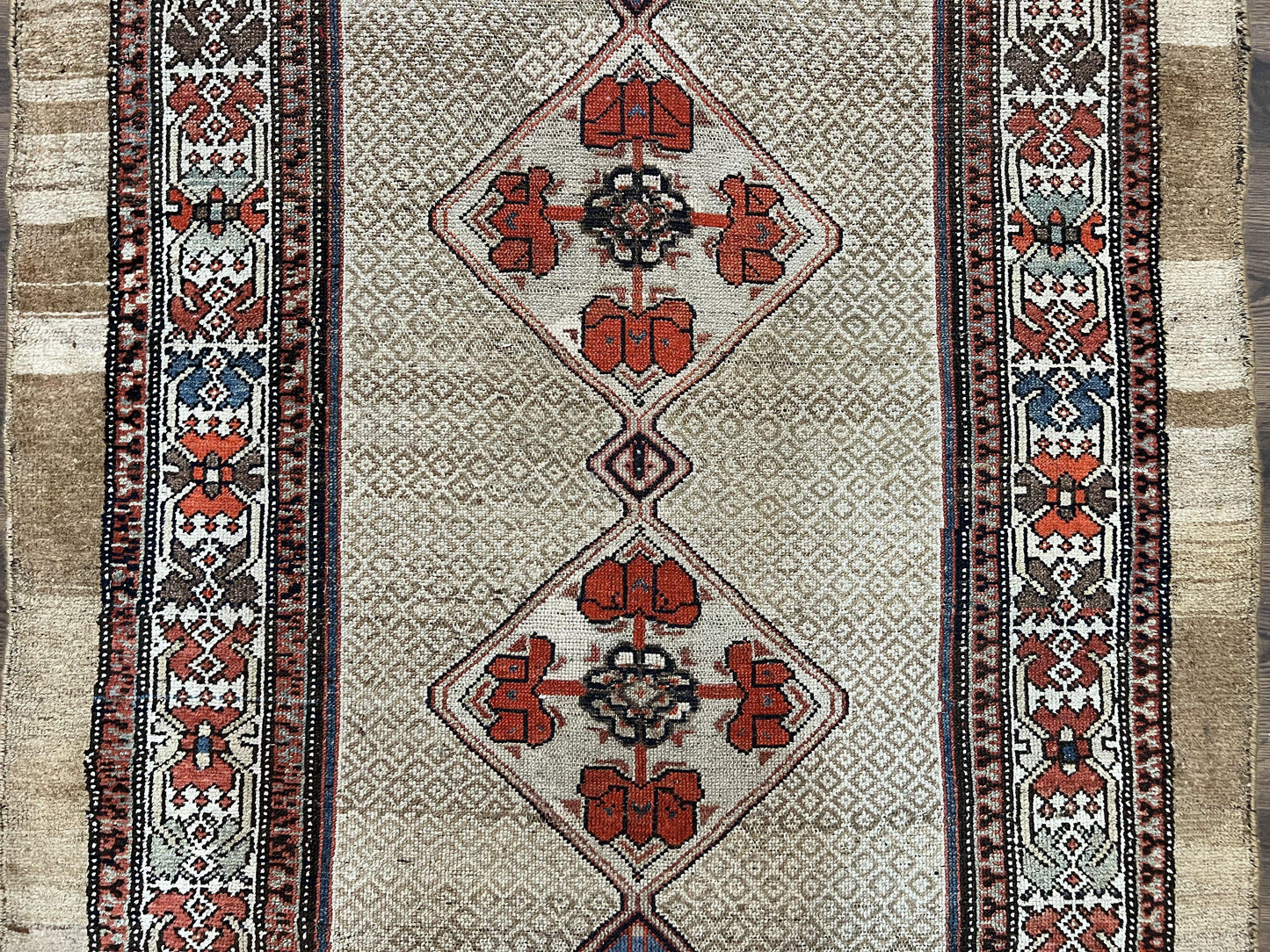 USED Rare Persian Sarab Tribal Runner Rug 4 x 10, Antique, Geometric Medallions, Camel Hair Runner
