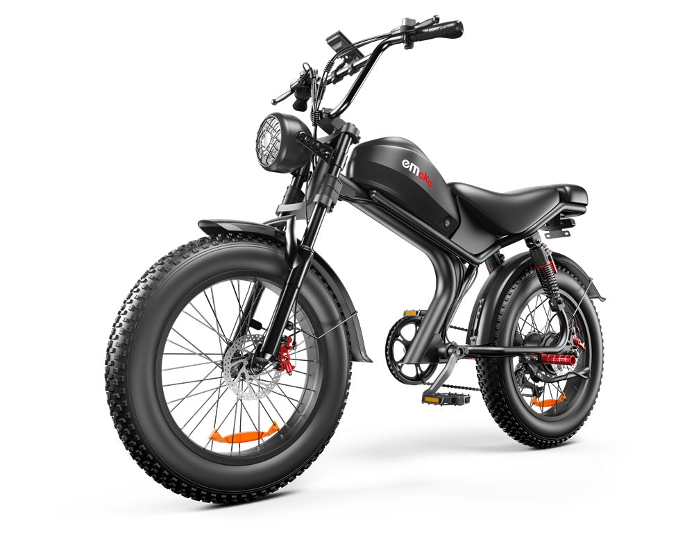 NEW C93- Dual-drive High-speed 48v E-Bike 1000W Electric Bicycle Bike