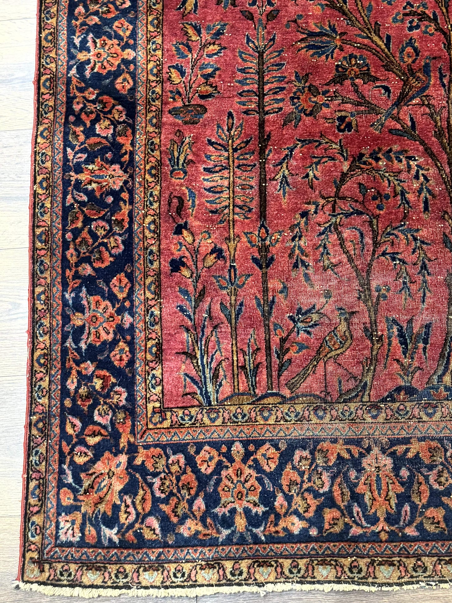 USED Antique Persian Tree of Life Rug 3x5, Manchester Wool, Bird Pictorials, Fine 240 KPSI, Red Navy Blue