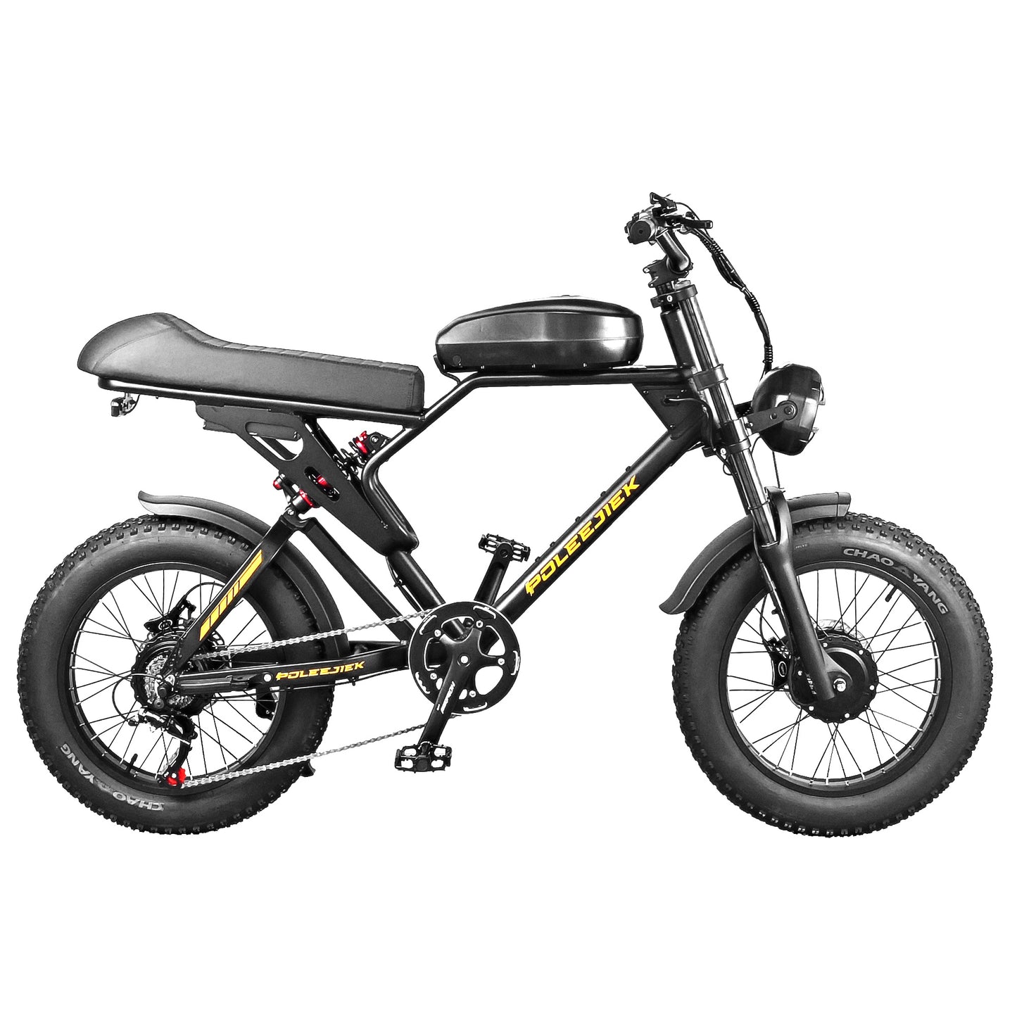NEW Poleejiek E-Bike Urban Retro Model BLJ-F4 Electric Bicycle Bike