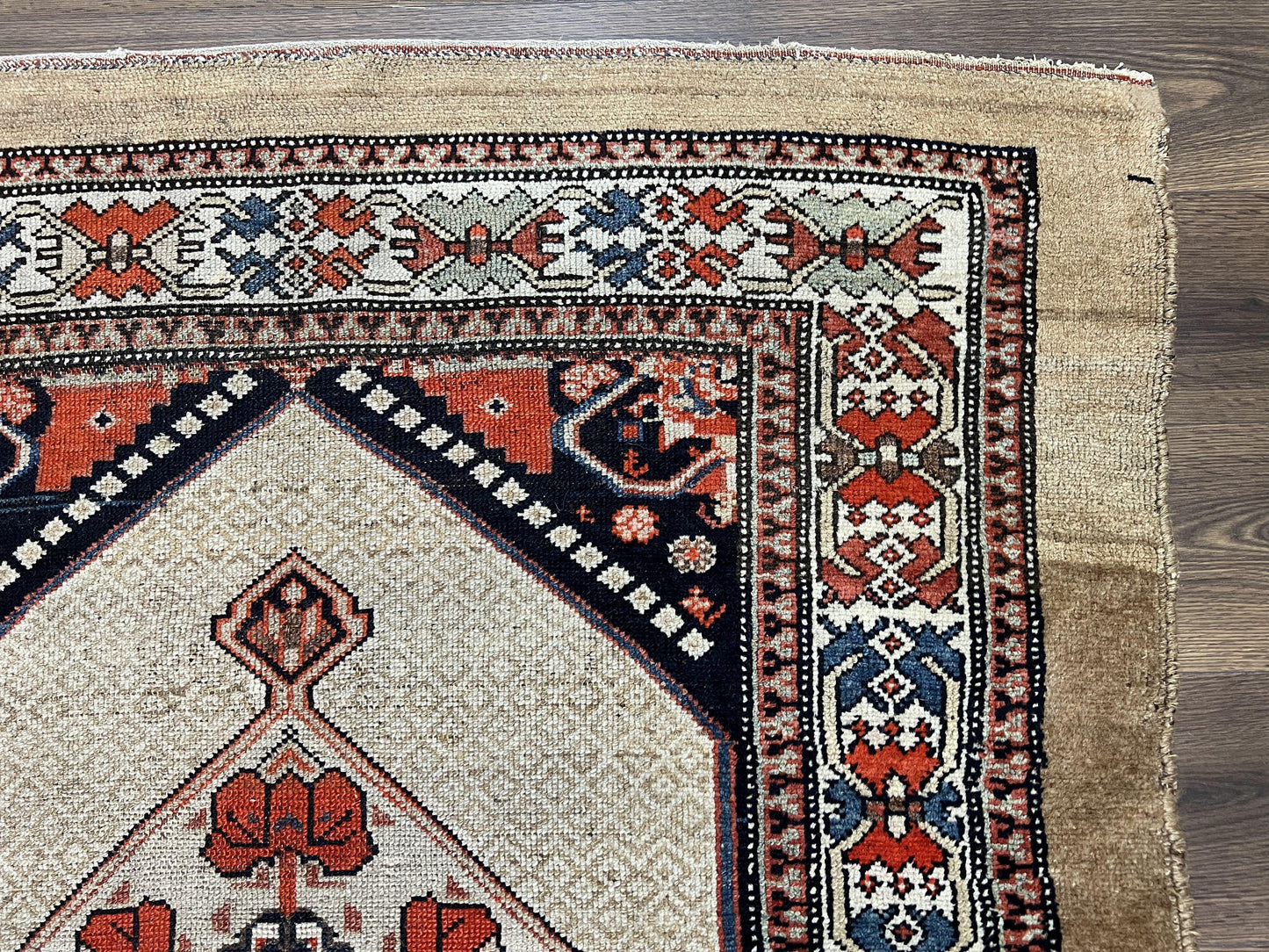 USED Rare Persian Sarab Tribal Runner Rug 4 x 10, Antique, Geometric Medallions, Camel Hair Runner