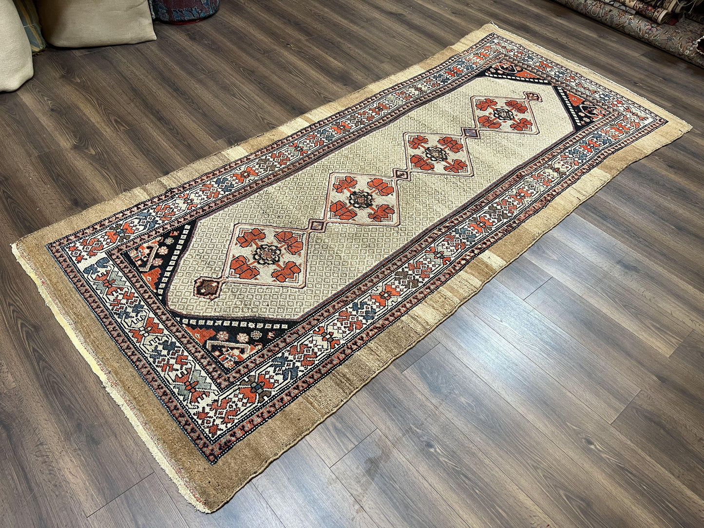 USED Rare Persian Sarab Tribal Runner Rug 4 x 10, Antique, Geometric Medallions, Camel Hair Runner