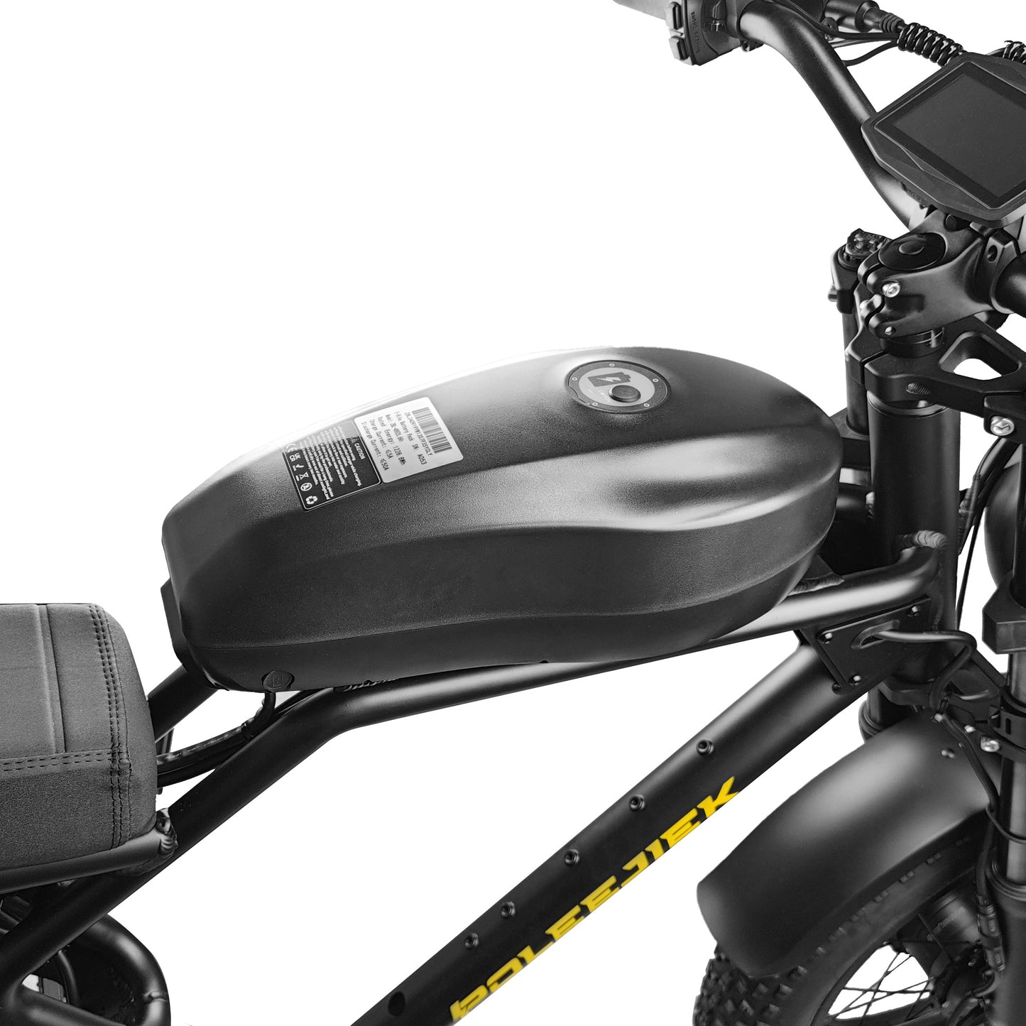 NEW Poleejiek E-Bike Urban Retro Model BLJ-F4 Electric Bicycle Bike
