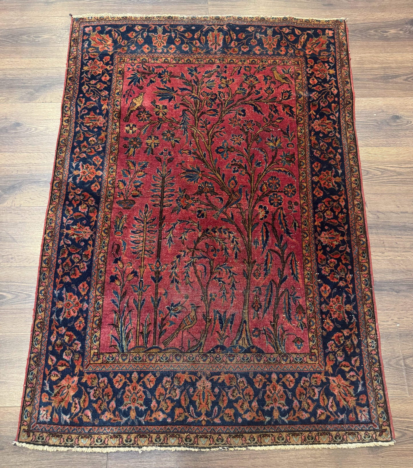 USED Antique Persian Tree of Life Rug 3x5, Manchester Wool, Bird Pictorials, Fine 240 KPSI, Red Navy Blue