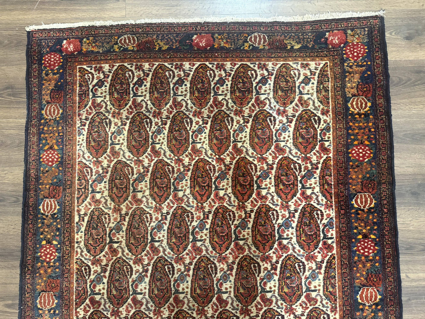 USED Antique Persian Kurdish Senneh Rug 4.6 x 6.5, Repeated Paisely Boteh Design, Handmade