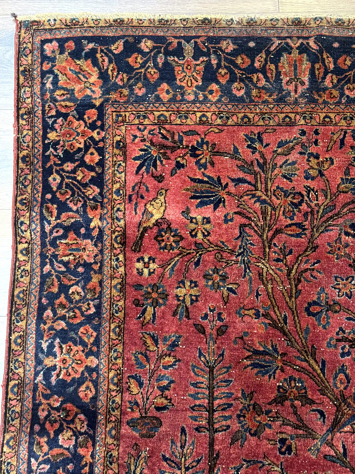 USED Antique Persian Tree of Life Rug 3x5, Manchester Wool, Bird Pictorials, Fine 240 KPSI, Red Navy Blue