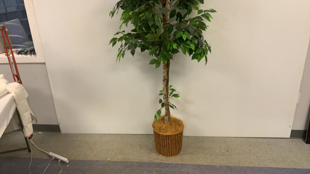 USED Tall Artificial Plant Green Tree