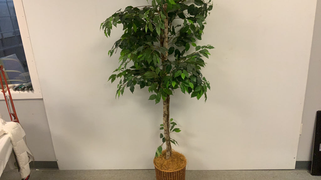 USED Tall Artificial Plant Green Tree