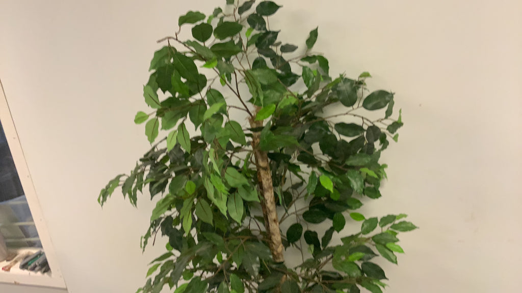 USED Tall Artificial Plant Green Tree