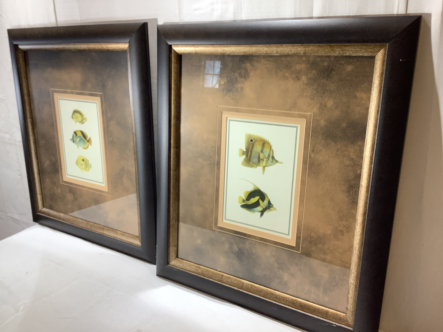 USED 2x MADE ON EARTH Antique Tropical Fish I - 18 x 21 Framed Art Print