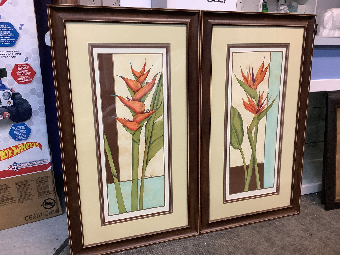 USED 2x Tropical Botanial Pictures Wall Art