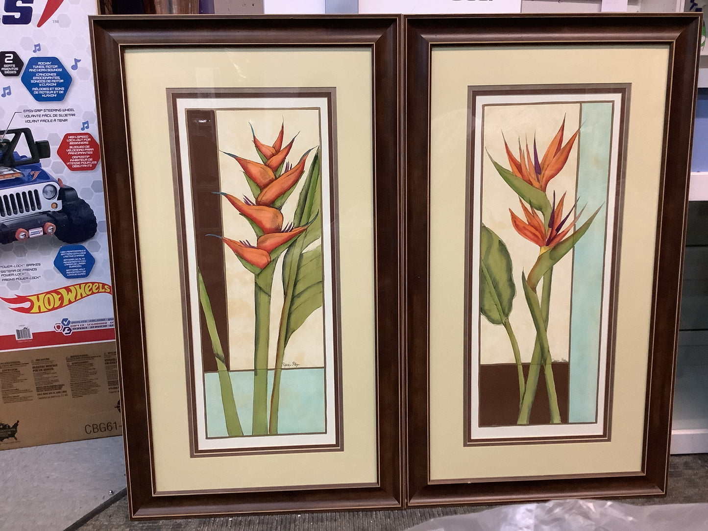 USED 2x Tropical Botanial Pictures Wall Art