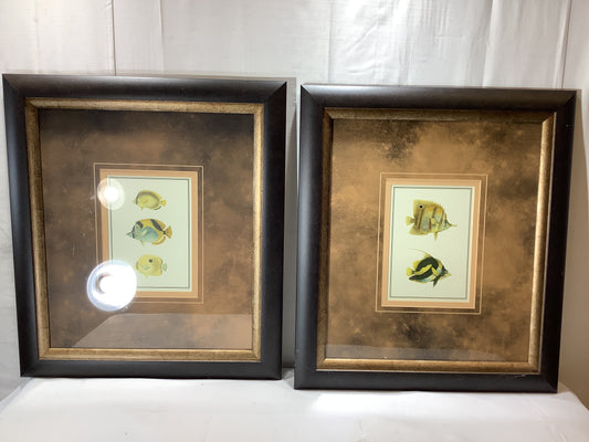 USED 2x MADE ON EARTH Antique Tropical Fish I - 18 x 21 Framed Art Print