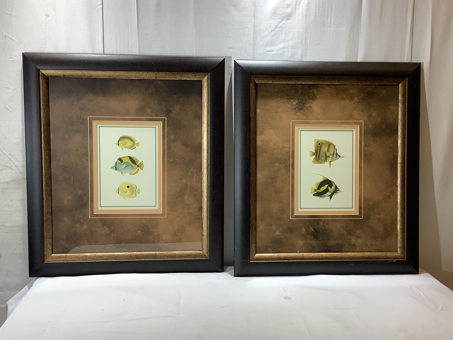 USED 2x MADE ON EARTH Antique Tropical Fish I - 18 x 21 Framed Art Print