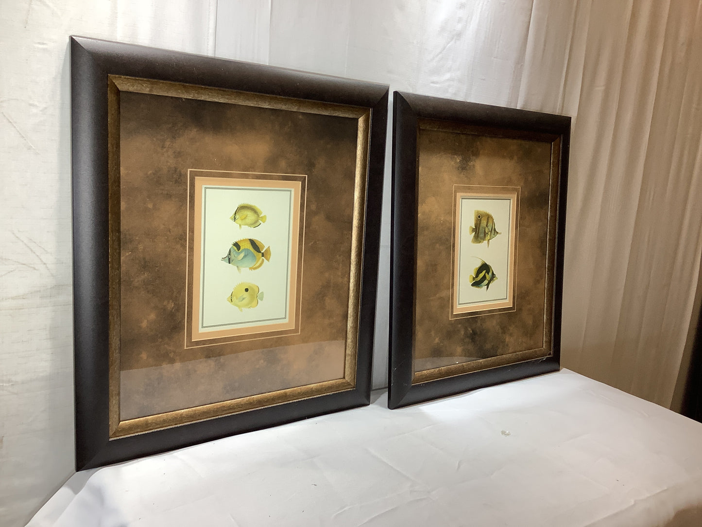 USED 2x MADE ON EARTH Antique Tropical Fish I - 18 x 21 Framed Art Print