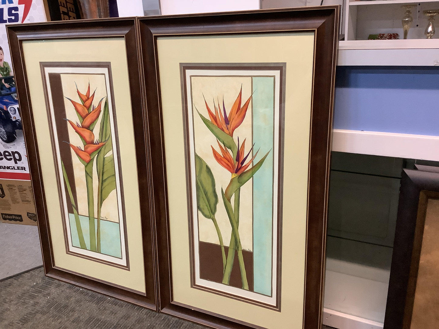 USED 2x Tropical Botanial Pictures Wall Art