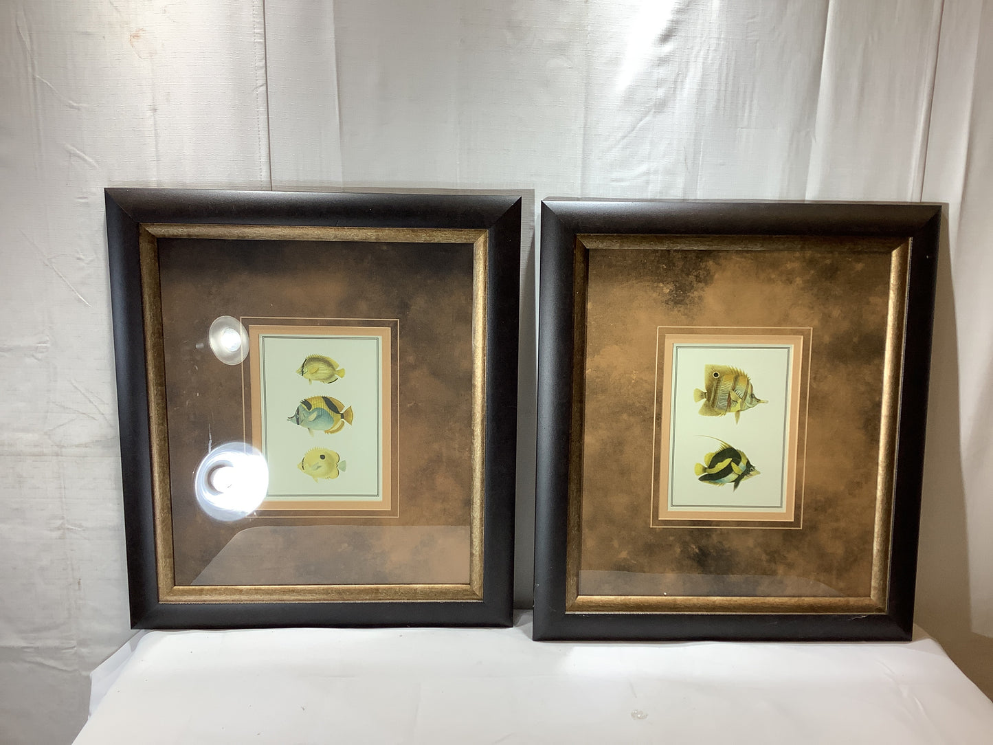 USED 2x MADE ON EARTH Antique Tropical Fish I - 18 x 21 Framed Art Print