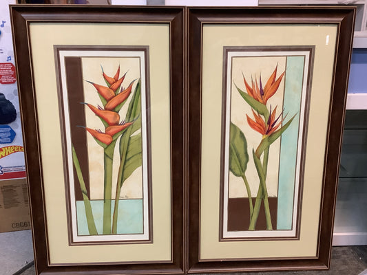 USED 2x Tropical Botanial Pictures Wall Art